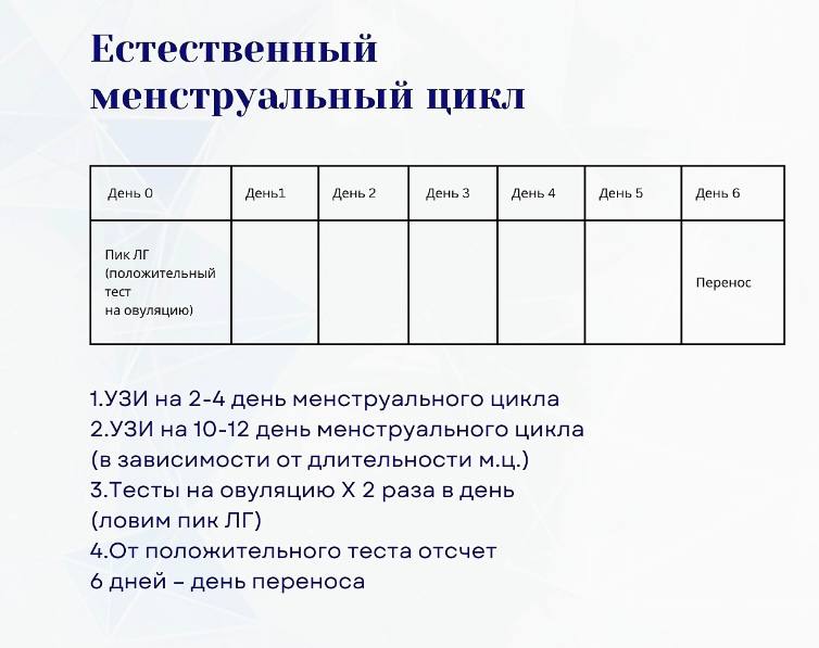 59_крио_дни.jpg